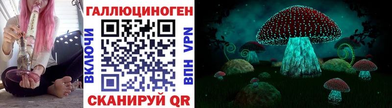 Галлюциногенные грибы Psilocybine cubensis Луза